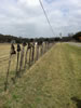 Boot Fence In Texas